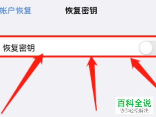 如何启用Apple ID恢复密钥功能