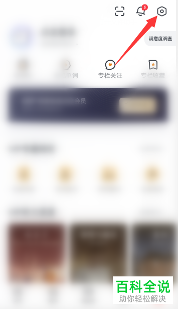 如何清除网易有道词典中查询或翻译的历史记录