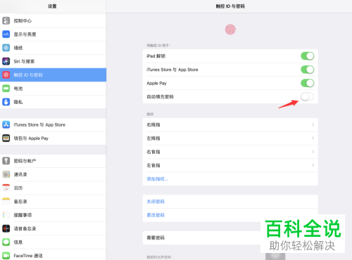如何启用iPad自动填充密码功能