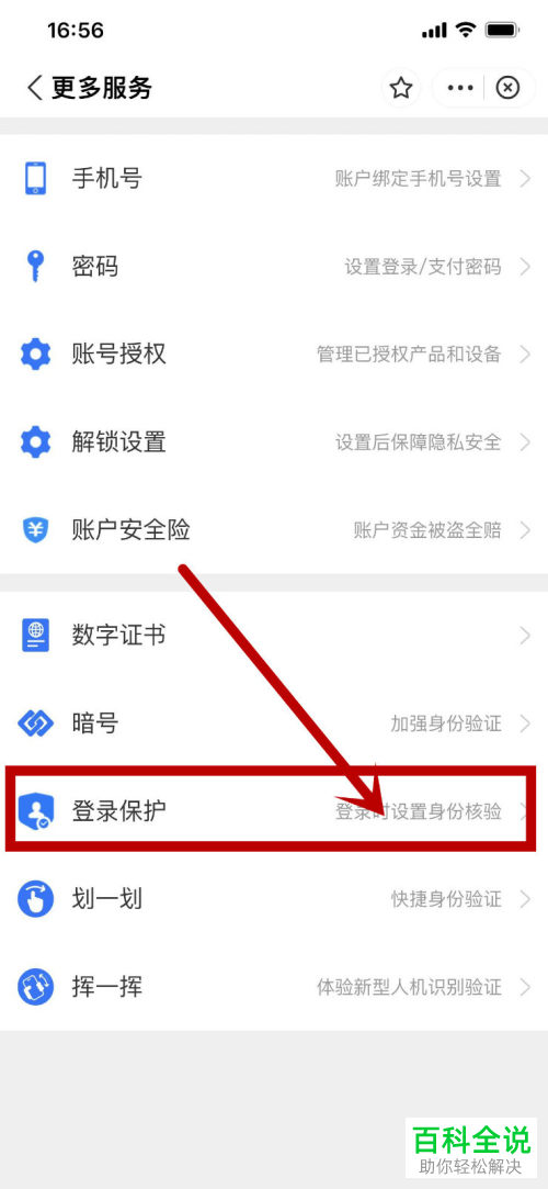 如何启用支付宝登录保护功能