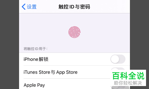 如何启用铁路12306中的指纹登录功能