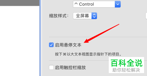 如何启用mac电脑设置缩放时的文本悬停功能