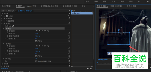 如何清除视频上的字幕