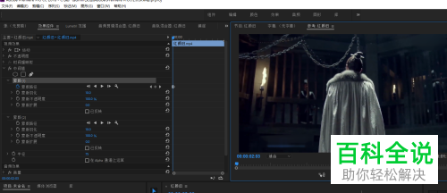 如何清除视频上的字幕