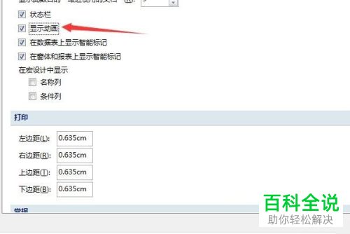 如何启用Access显示动画功能