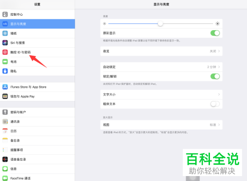 如何启用iPad自动填充密码功能