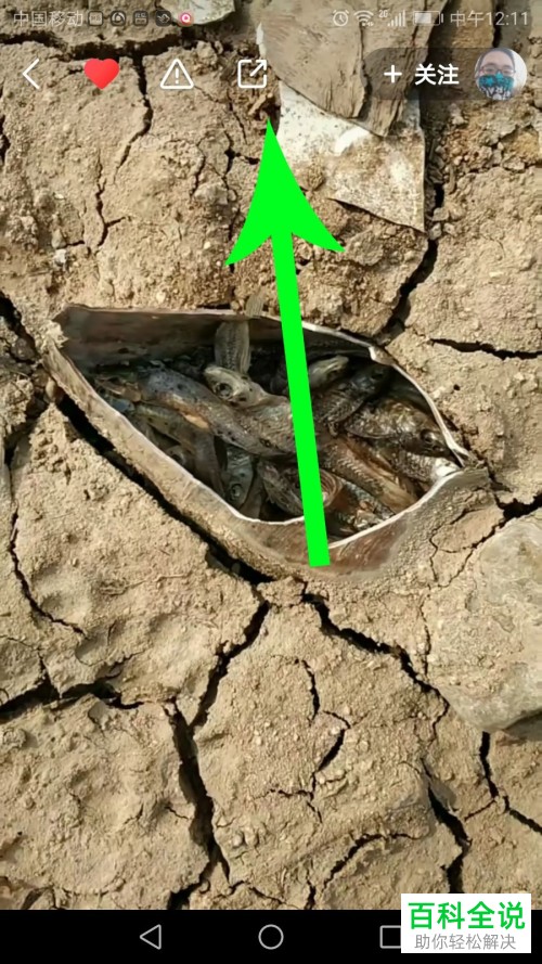 如何取消收藏新版快手App中的某视频