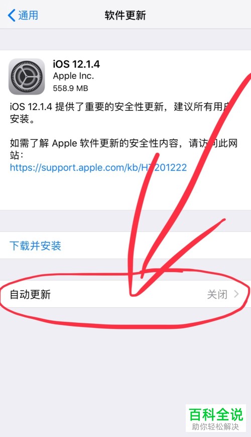 如何取消苹果iPhone手机中的自动更新系统功能？