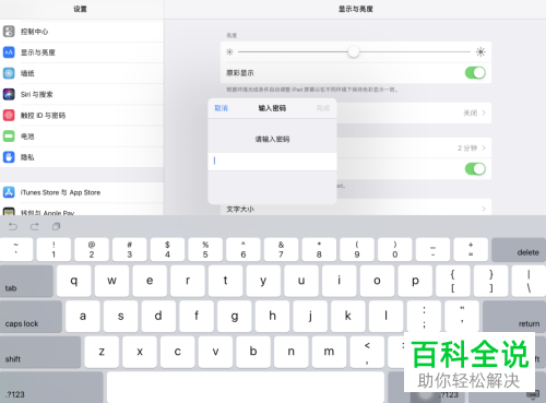如何启用iPad自动填充密码功能