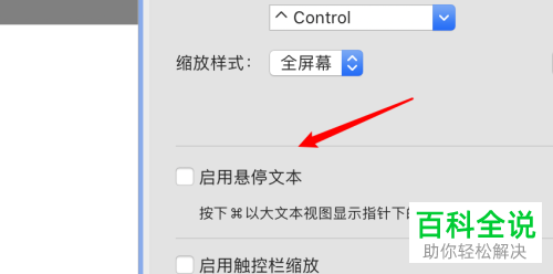 如何启用mac电脑设置缩放时的文本悬停功能