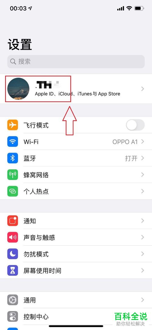 如何清理苹果iPhone手机存储空间中的其他