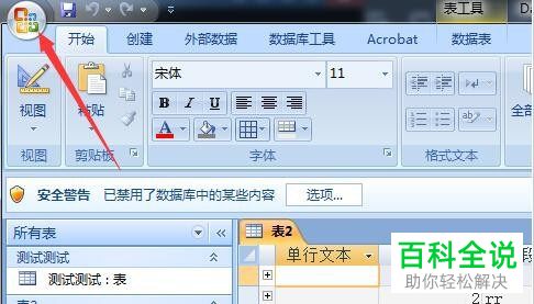 如何启用Access显示动画功能