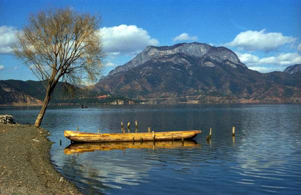 如何申请消除交通违法记录（什么情况可以申请交通违法消除）