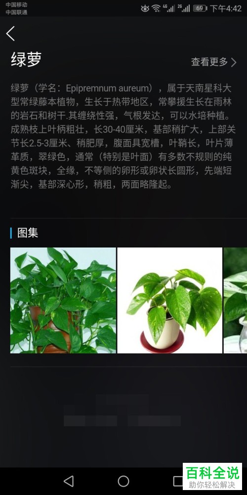 如何使用手机QQ中的扫一扫功能识别花草？