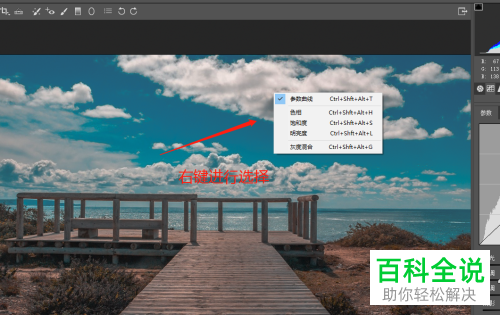 如何使用camera raw中的目标调整工具调整色彩