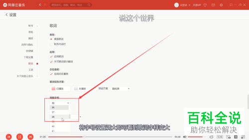 如何设置网易云音乐的歌词字号
