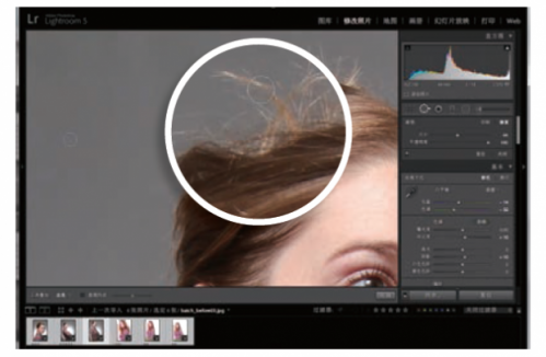 如何使用Lightroom批量处理照片