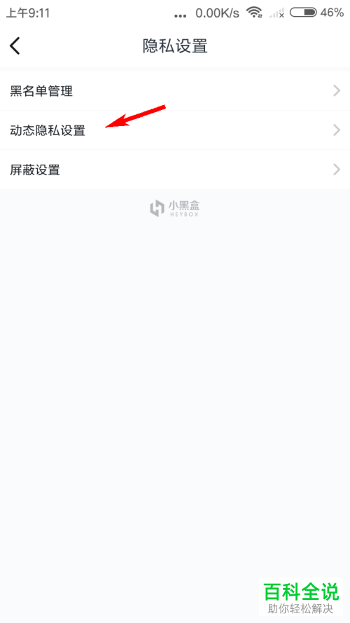 如何设置小黑盒动态隐私