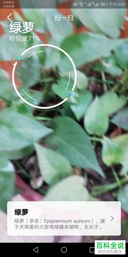 如何使用手机QQ中的扫一扫功能识别花草？