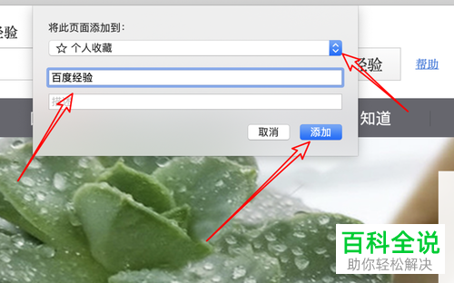 如何使用mac电脑，浏览器收藏网页？