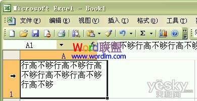 如何设置Excel2003单元格输入文字后自动调整合适行高和列宽