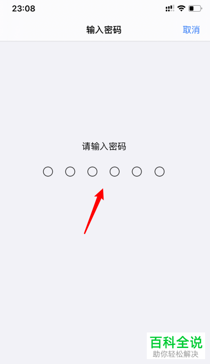 如何使用iPhone苹果手机中的替用外貌功能