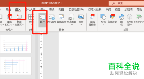 如何设置PPT文档图片版式