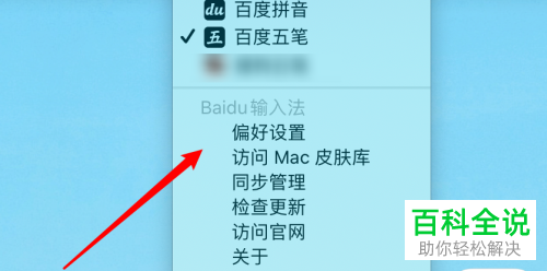 如何删除macbook苹果电脑五笔输入法中不使用的皮肤