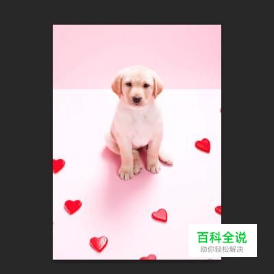 如何使用PS内容识别填充工具快速去水印和杂物