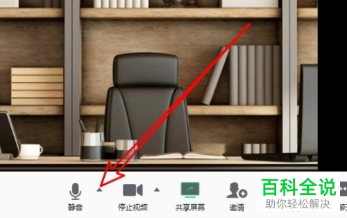 如何使用腾讯会议中的电话拨入功能