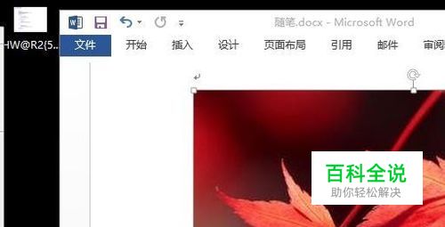 如何使在word中插入的图片不变形