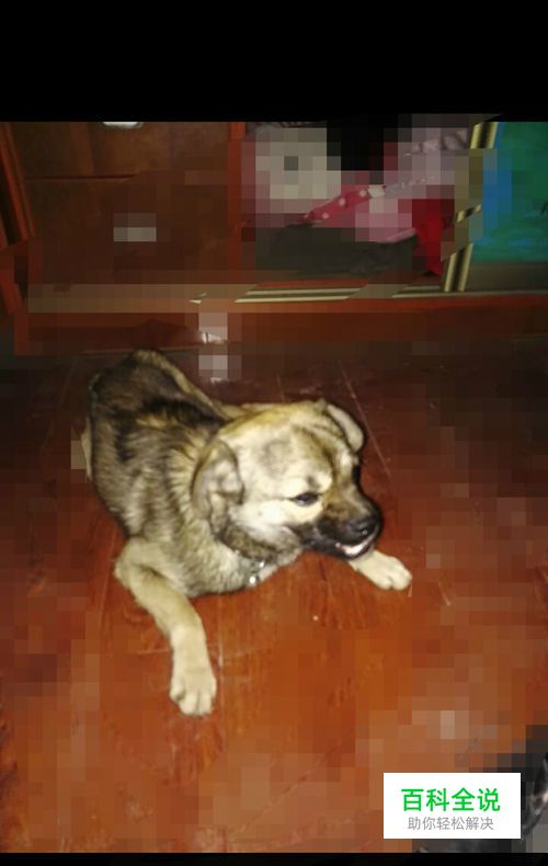 如何使用photoshop抠图抠出人或物体