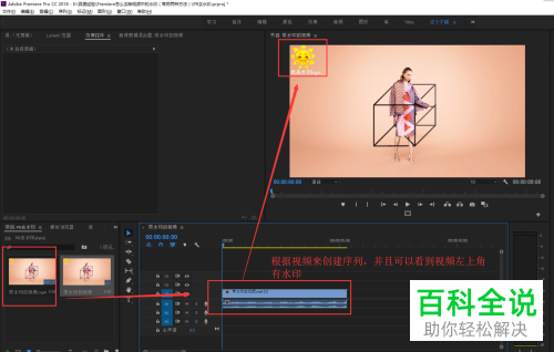 如何使用Premiere除去视频中的水印？