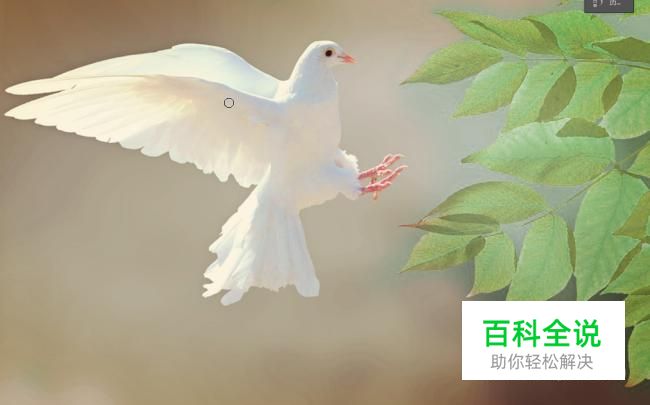 如何使用PS的历史画笔工具局部调色