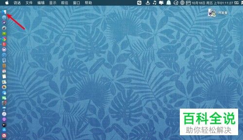 如何手动设置Mac版fdm的上传速度和下载速度