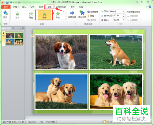 如何设置PPT文档中的图片显示顺序