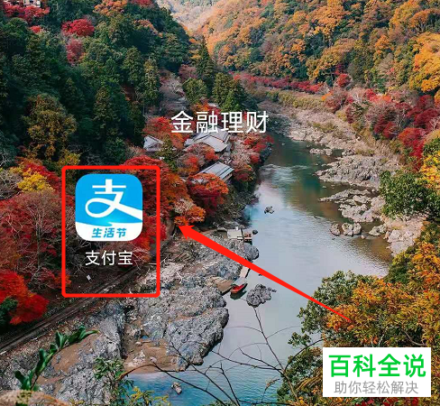 如何使用支付宝交通出行网约车功能？