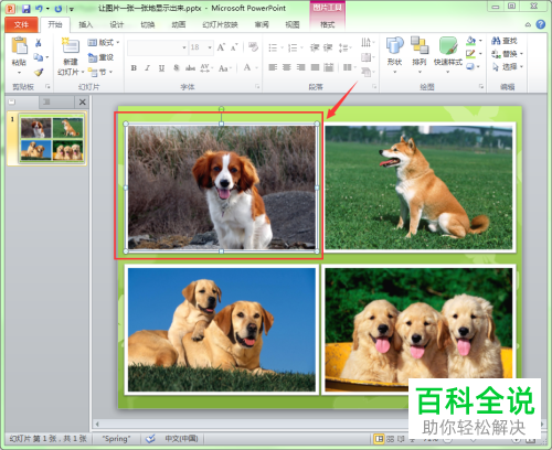 如何设置PPT文档中的图片显示顺序