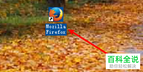 如何设置Firefox等宽字体大小