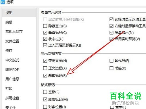 如何删除wps2019文档四周的直角标记