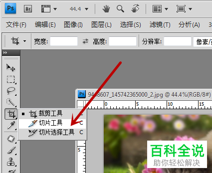 如何使用PS中的切片工具将图片切割