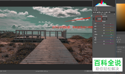 如何使用camera raw中的目标调整工具调整色彩