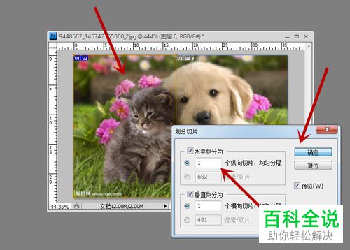 如何使用PS中的切片工具将图片切割