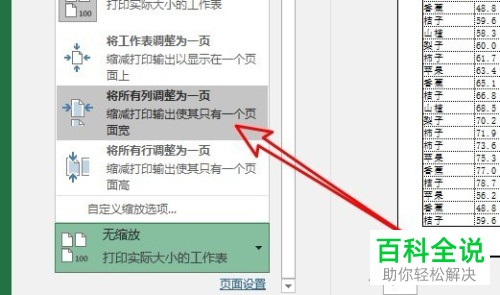 如何设置Excel打印时将所有列调整为一页