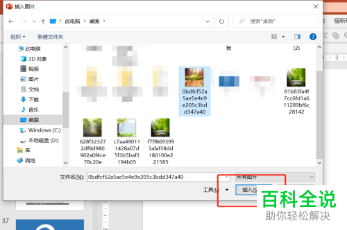 如何设置PPT文档图片版式