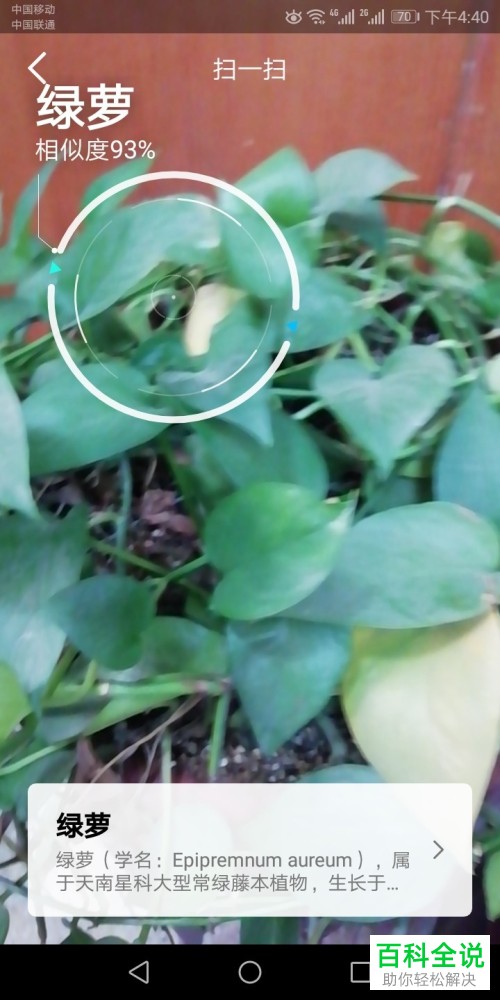 如何使用手机QQ中的扫一扫功能识别花草？
