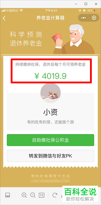如何使用养老金计算器？