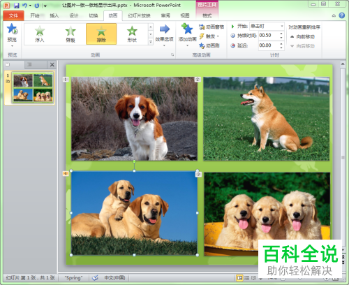 如何设置PPT文档中的图片显示顺序