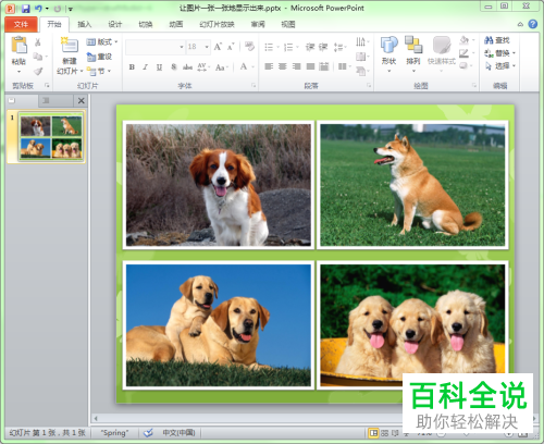如何设置PPT文档中的图片显示顺序