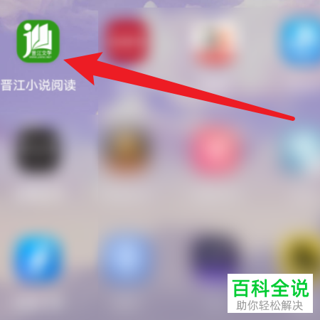如何设置晋江小说阅读的网络连接优化功能？